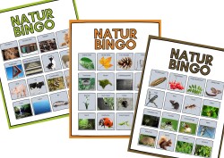 Naturbingo