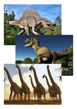 15 dinosaur-kort + 11 plakater med dinosaurer i na