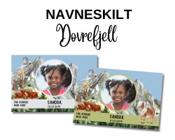 DOVREFJELL - Navneskilt