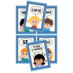 Våre 5 sanser