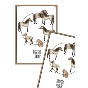 Hesten - Livsløp plakat