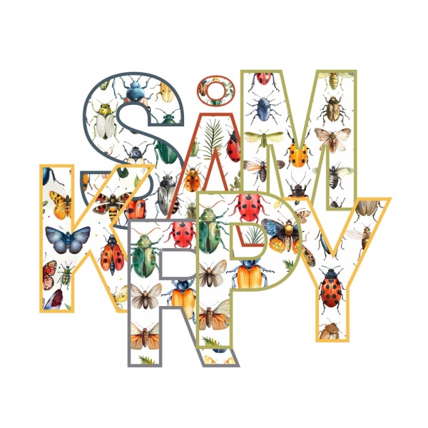 INSEKTER/SMÅKRYP - Bilde 4