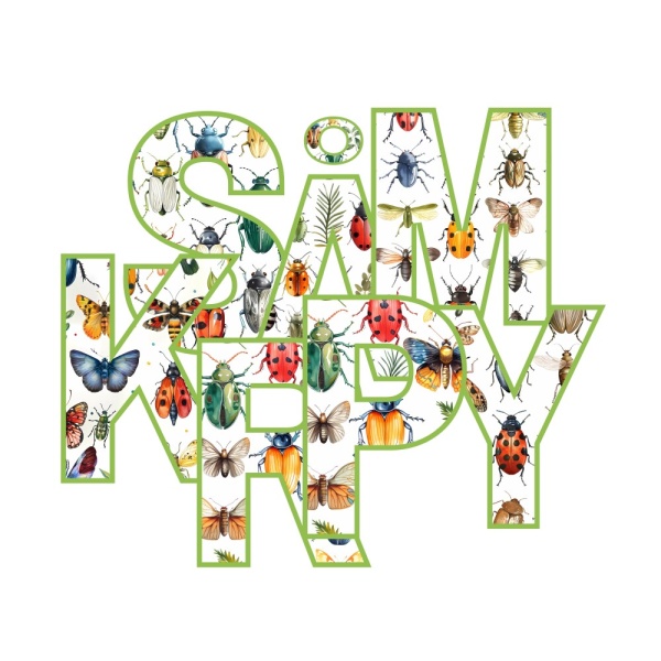 INSEKTER/SMÅKRYP - Bilde 5
