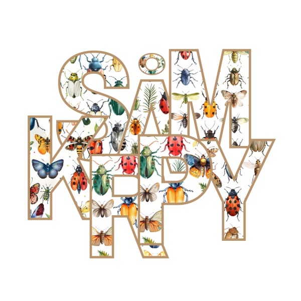 INSEKTER/SMÅKRYP - Bilde 6