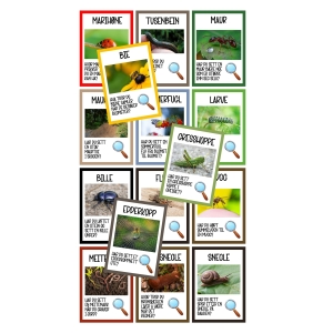 Samtalekort insekter og småkryp